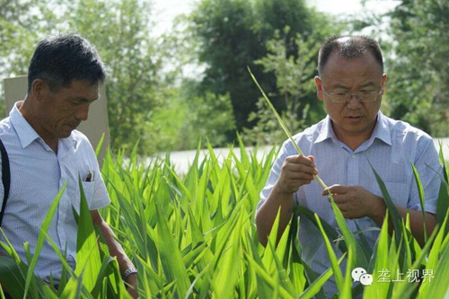 敦煌種業(yè)種子營銷分公司—通過組織黑龍江農(nóng)戶開展體驗(yàn)之旅活動進(jìn)一步提升公司的社會形象